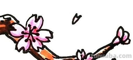 怎么画桃花的简笔画 桃花简笔画怎么画？