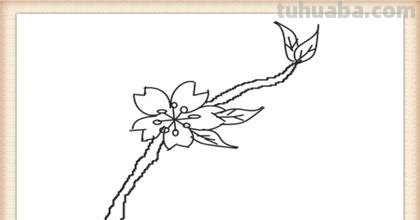 怎么画桃花的简笔画 桃花简笔画怎么画？