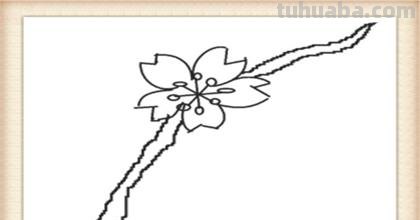 怎么画桃花的简笔画 桃花简笔画怎么画？