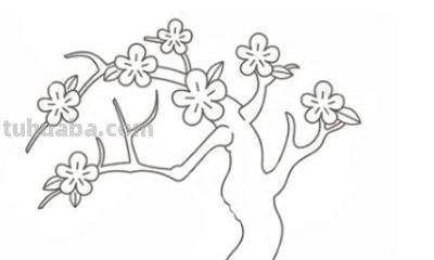 怎么画桃花的简笔画 桃花简笔画怎么画？
