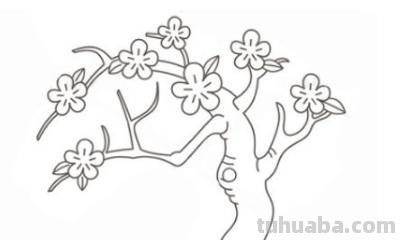 怎么画桃花的简笔画 桃花简笔画怎么画？