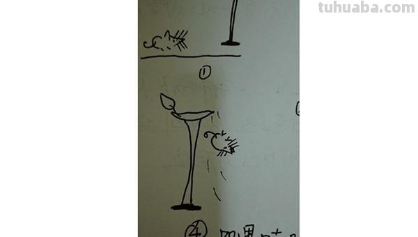 小老鼠怎么画简笔画 怎么用7+2=9画老鼠的简笔画？