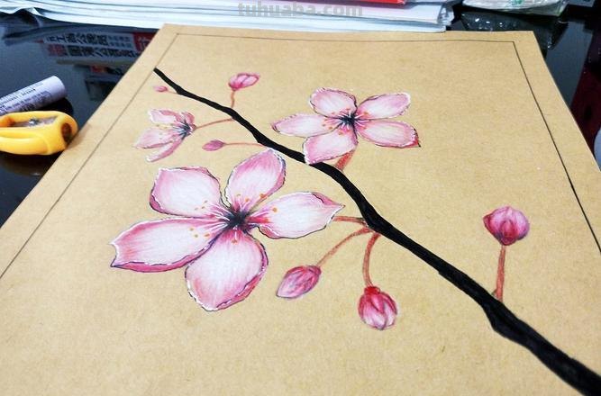 樱花怎么画用彩铅画的 怎么用彩铅画樱花树?