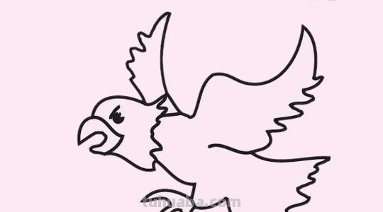 老鹰的简笔画怎么画 老鹰的画法以及步骤?