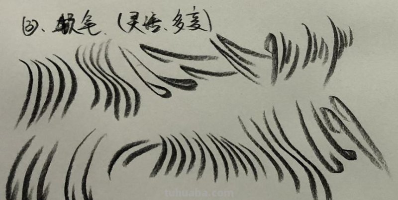 速写顿笔要领 顿笔怎么练？
