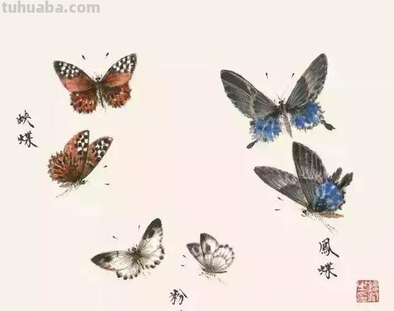 图文教程：写意昆虫画法（蜂蝶蛾）