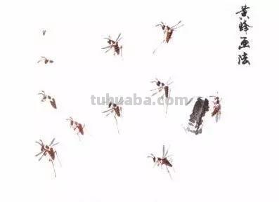 图文教程：写意昆虫画法（蜂蝶蛾）