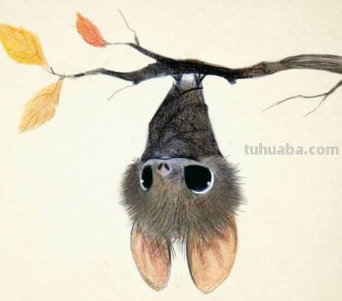 怎么画蝙蝠用彩铅画蝙蝠 蝙蝠怎样绘画？