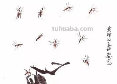 图文教程：写意昆虫画法（蜂蝶蛾）
