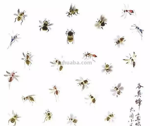 图文教程：写意昆虫画法（蜂蝶蛾）