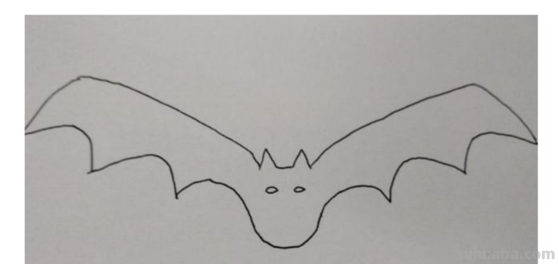 怎么画蝙蝠用彩铅画蝙蝠 蝙蝠怎样绘画？