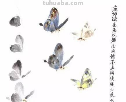 图文教程：写意昆虫画法（蜂蝶蛾）