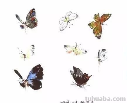 图文教程：写意昆虫画法（蜂蝶蛾）