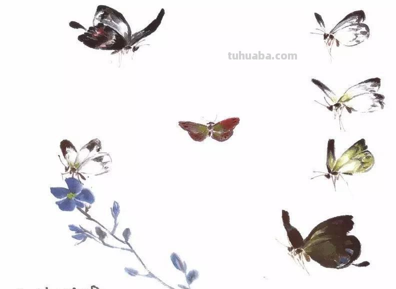 图文教程：写意昆虫画法（蜂蝶蛾）