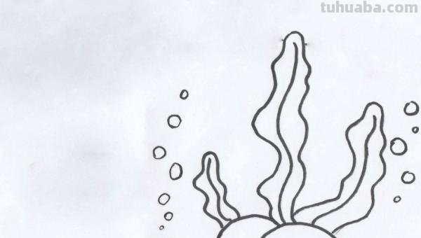 怎么画海洋世界简笔画 海底世界怎样画？
