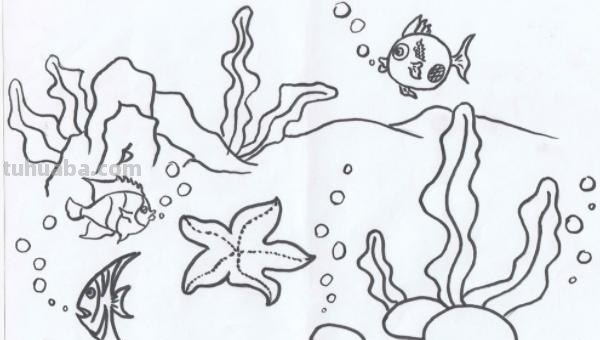 怎么画海洋世界简笔画 海底世界怎样画？