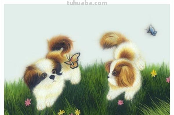 怎样画犬，小狗的画法步骤，狗年快到啦~快来学一下小狗的各种画法吧~简单易学哦！
