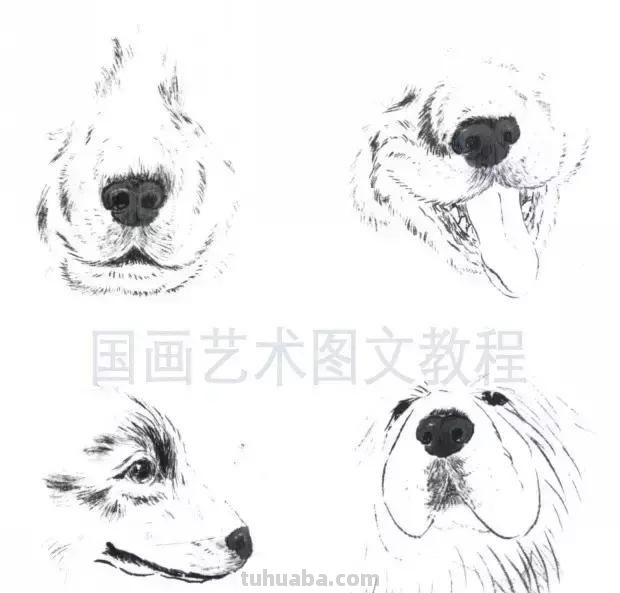 怎样画犬，小狗的画法步骤，狗年快到啦~快来学一下小狗的各种画法吧~简单易学哦！