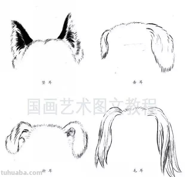 怎样画犬，小狗的画法步骤，狗年快到啦~快来学一下小狗的各种画法吧~简单易学哦！