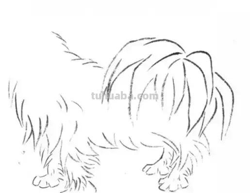 怎样画犬，小狗的画法步骤，狗年快到啦~快来学一下小狗的各种画法吧~简单易学哦！