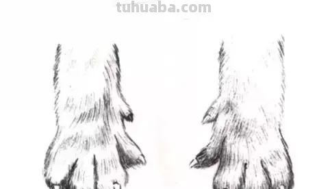 怎样画犬，小狗的画法步骤，狗年快到啦~快来学一下小狗的各种画法吧~简单易学哦！