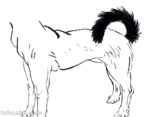 怎样画犬，小狗的画法步骤，狗年快到啦~快来学一下小狗的各种画法吧~简单易学哦！