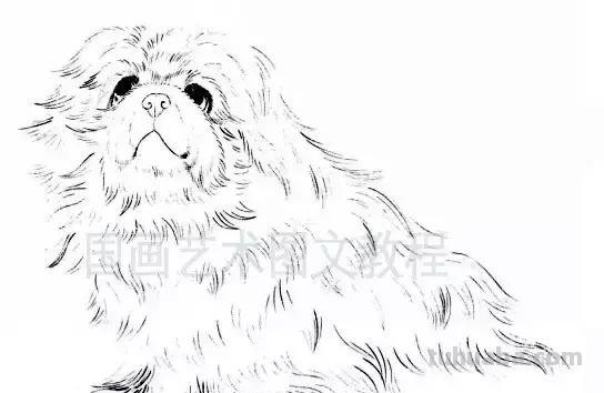 怎样画犬，小狗的画法步骤，狗年快到啦~快来学一下小狗的各种画法吧~简单易学哦！