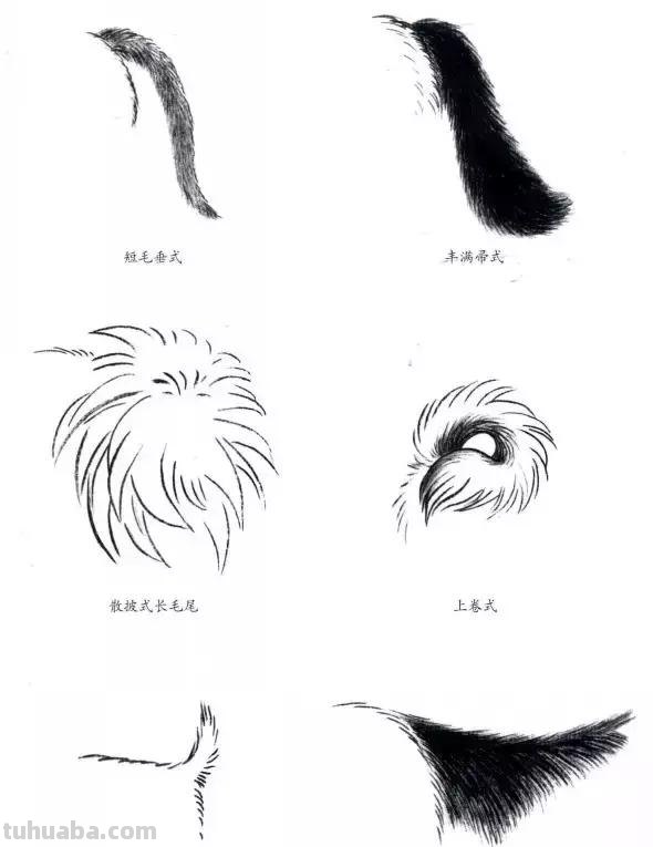 怎样画犬，小狗的画法步骤，狗年快到啦~快来学一下小狗的各种画法吧~简单易学哦！