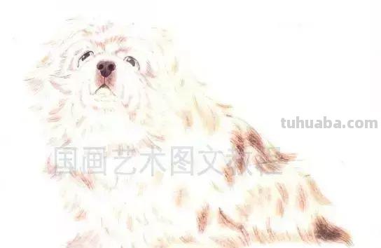 怎样画犬，小狗的画法步骤，狗年快到啦~快来学一下小狗的各种画法吧~简单易学哦！