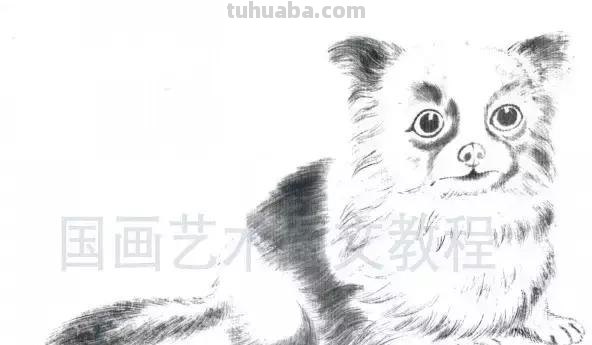 怎样画犬，小狗的画法步骤，狗年快到啦~快来学一下小狗的各种画法吧~简单易学哦！