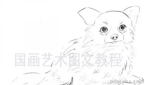 怎样画犬，小狗的画法步骤，狗年快到啦~快来学一下小狗的各种画法吧~简单易学哦！