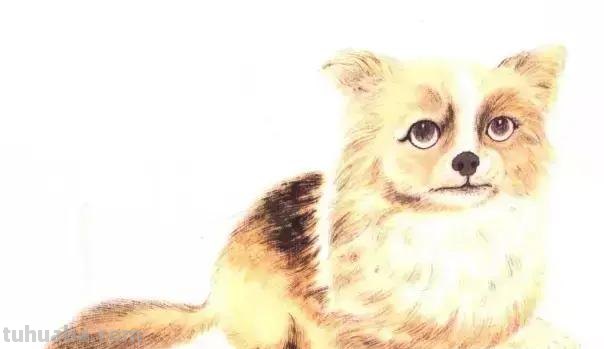 怎样画犬，小狗的画法步骤，狗年快到啦~快来学一下小狗的各种画法吧~简单易学哦！