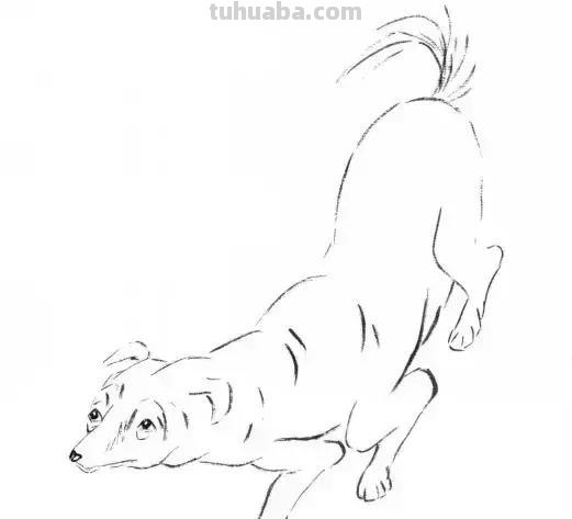 怎样画犬，小狗的画法步骤，狗年快到啦~快来学一下小狗的各种画法吧~简单易学哦！