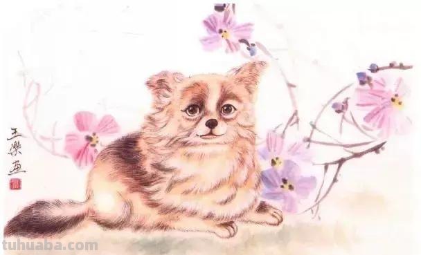 怎样画犬，小狗的画法步骤，狗年快到啦~快来学一下小狗的各种画法吧~简单易学哦！