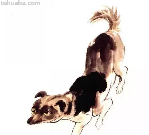怎样画犬，小狗的画法步骤，狗年快到啦~快来学一下小狗的各种画法吧~简单易学哦！