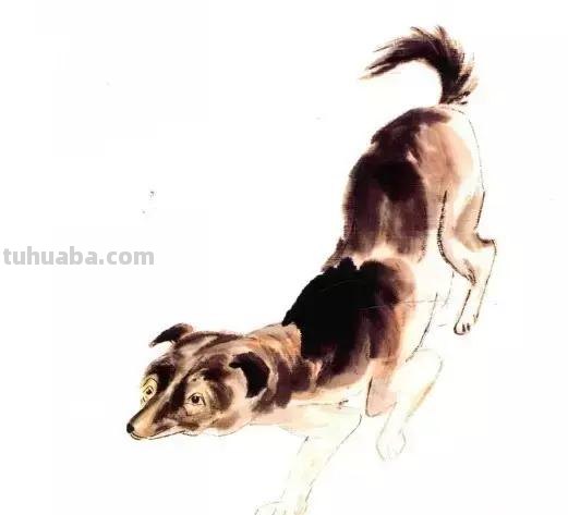 怎样画犬，小狗的画法步骤，狗年快到啦~快来学一下小狗的各种画法吧~简单易学哦！