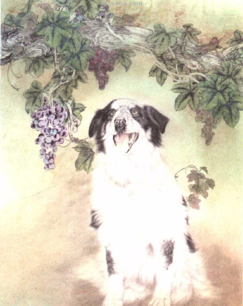 怎样画犬，小狗的画法步骤，狗年快到啦~快来学一下小狗的各种画法吧~简单易学哦！