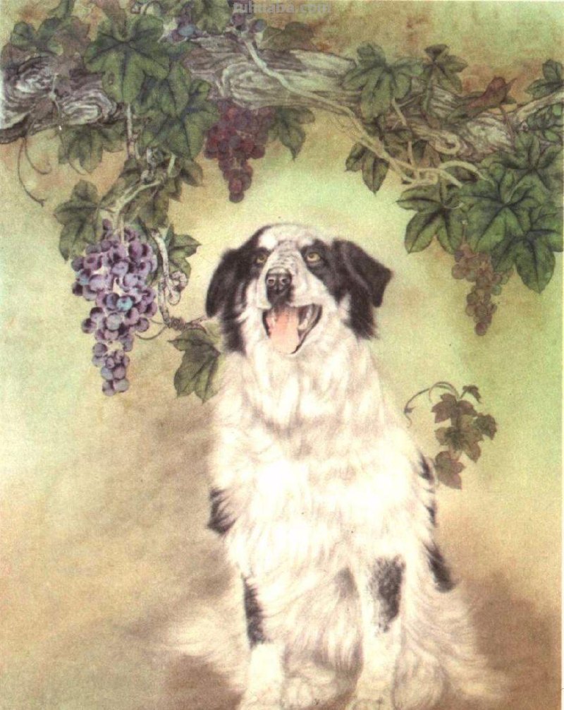 怎样画犬，小狗的画法步骤，狗年快到啦~快来学一下小狗的各种画法吧~简单易学哦！