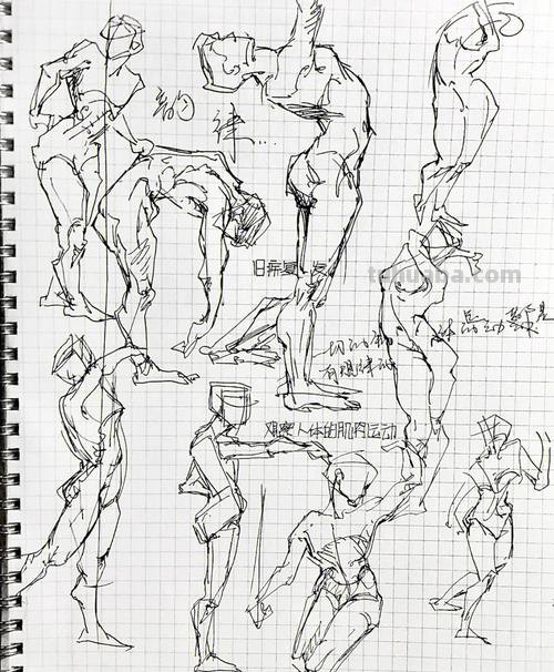 人体速写1 人体钢笔速写规律？