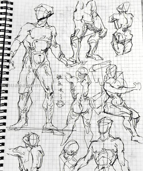 人体速写1 人体钢笔速写规律？