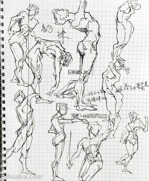 人体速写1 人体钢笔速写规律？