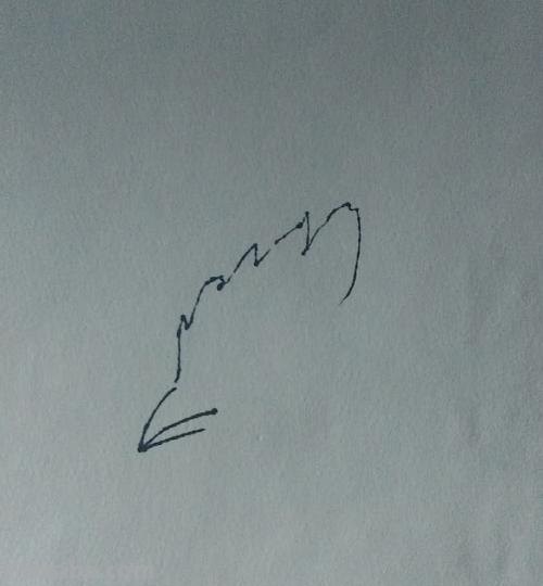 彩铅画的公鸡图片怎么画 简笔画公鸡的画法？