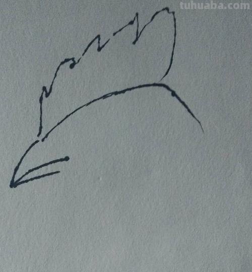 彩铅画的公鸡图片怎么画 简笔画公鸡的画法？