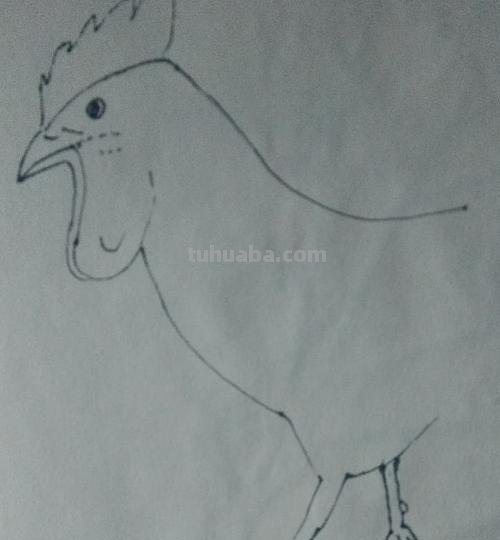 彩铅画的公鸡图片怎么画 简笔画公鸡的画法？