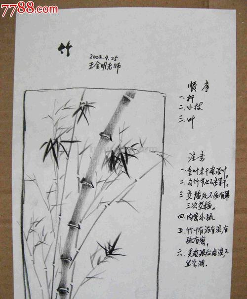 素描速写竹 怎样用铅笔画竹子？