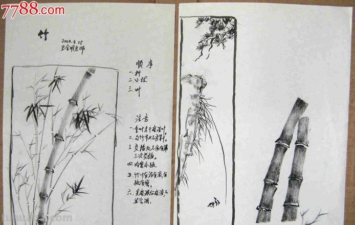 素描速写竹 怎样用铅笔画竹子？