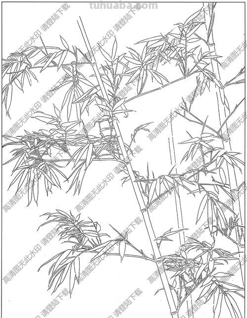 素描速写竹 怎样用铅笔画竹子？