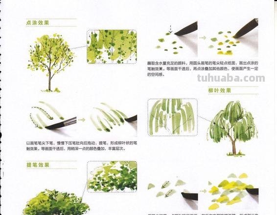 水彩画超详细新手教程