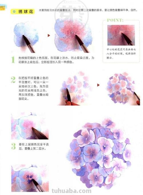 水彩画超详细新手教程