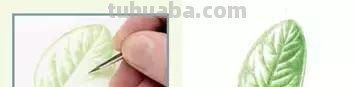 水彩画超详细新手教程